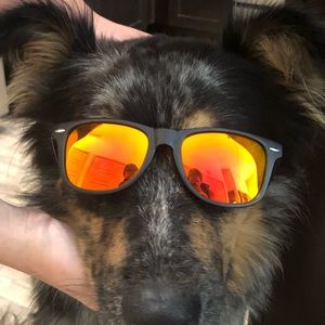 Meet your Posher, Jeremy